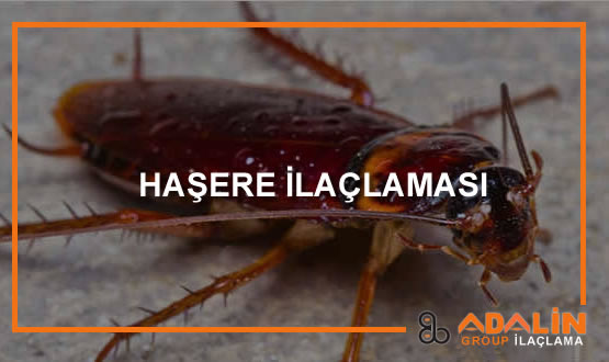 Haşere İlaçlaması